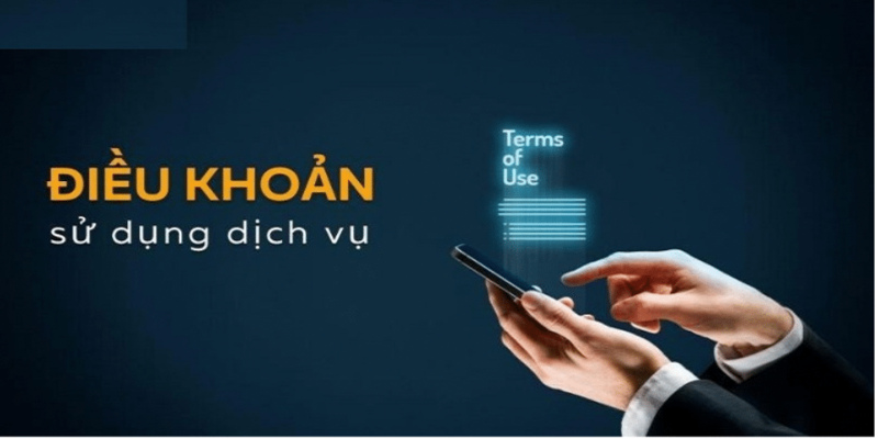 Tổng hợp điều khoản sử dụng 8Day